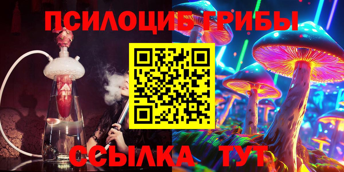 Зеленокумск  Псилоцибиновые грибы Psilocybine cubensis  Вход с VPN  Галлюциногенные грибы Psilocybine cubensis 