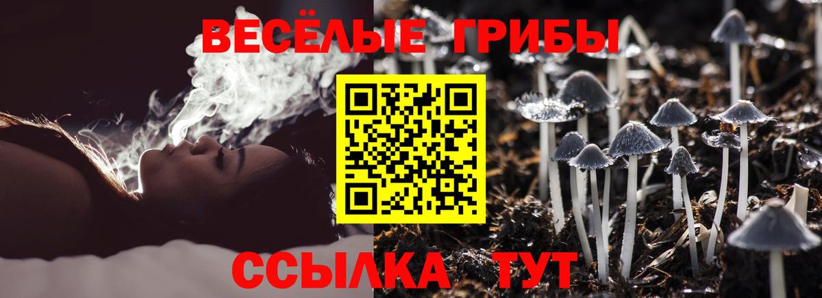 Галлюциногенные грибы GOLDEN TEACHER Зеленокумск